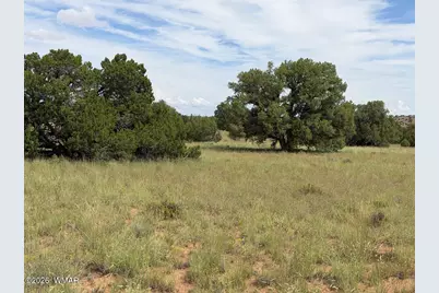 86 N5535 Road, Concho, AZ 85924 - Photo 6