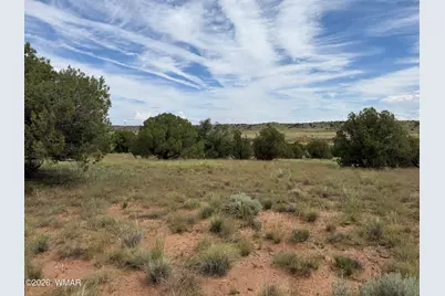 86 N5535 Road, Concho, AZ 85924 - Photo 14