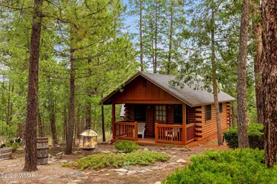 10 County Road 2074, Alpine, AZ 85920 - Photo 38