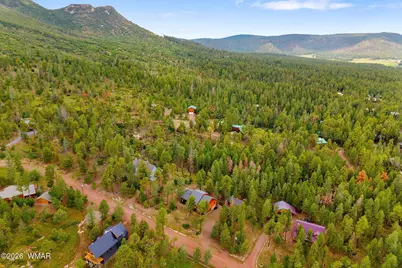 10 County Road 2074, Alpine, AZ 85920 - Photo 46