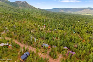 10 Co Rd 2074, Alpine, AZ 85920 - Photo 46