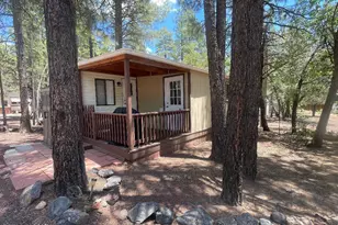 1930 Larson Rd, Lakeside, AZ 85929 - Photo 8