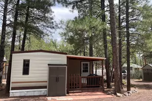 1930 Larson Rd, Lakeside, AZ 85929 - Photo 6