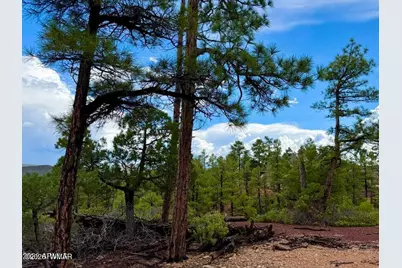 6292 Fawn Lane, Show Low, AZ 85901 - Photo 6