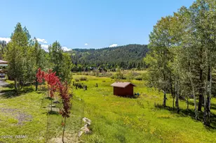 61 County Road 1121, Greer, AZ 85927 - Photo 56