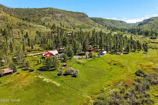 61 County Road 1121, Greer, AZ 85927 - Photo 112