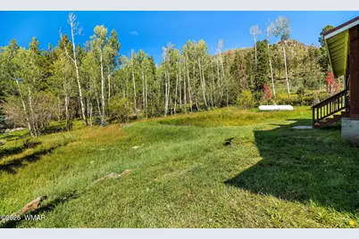 61 County Road 1121, Greer, AZ 85927 - Photo 48