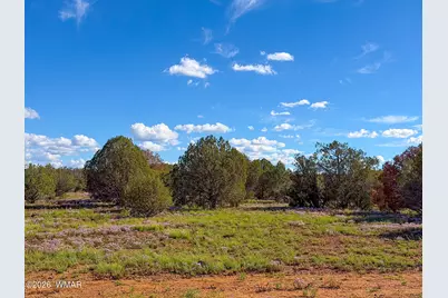 8026 Colt Ln. Lot 4, Show Low, AZ 85901 - Photo 16
