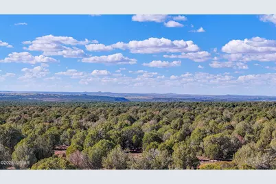 8026 Colt Ln. Lot 4, Show Low, AZ 85901 - Photo 8