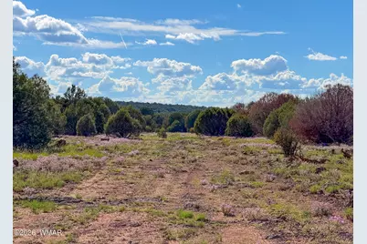 8026 Colt Ln. Lot 4, Show Low, AZ 85901 - Photo 18