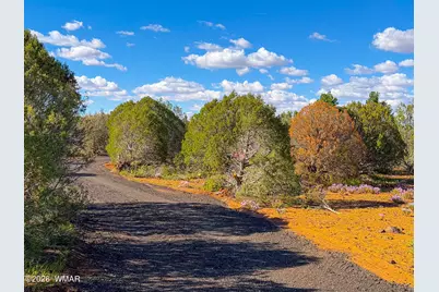 8026 Colt Ln. Lot 4, Show Low, AZ 85901 - Photo 4
