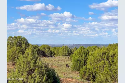 8026 Colt Ln. Lot 4, Show Low, AZ 85901 - Photo 2