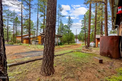 2974 Mogollon Drive, Overgaard, AZ 85933 - Photo 28