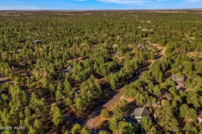 2202 Forest Park Drive, Overgaard, AZ 85933 - Photo 46