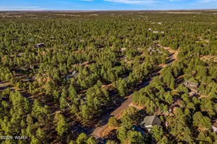 2202 Forest Park Dr, Overgaard, AZ 85933 - Photo 46