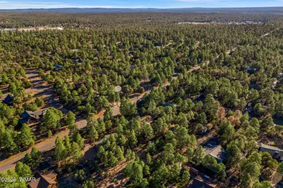 2202 Forest Park Drive, Overgaard, AZ 85933 - Photo 44