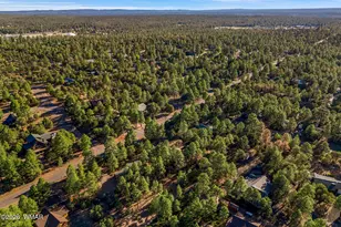 2202 Forest Park Dr, Overgaard, AZ 85933 - Photo 44