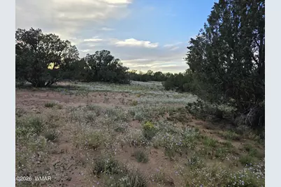 3908 Hidden Ranch Road, Snowflake, AZ 85937 - Photo 2