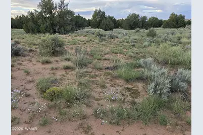 3908 Hidden Ranch Road, Snowflake, AZ 85937 - Photo 6