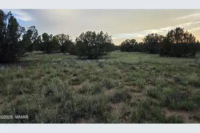 3908 Hidden Ranch Road, Snowflake, AZ 85937 - Photo 10