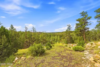 1740 Eskimo Lane, Heber, AZ 85928 - Photo 1