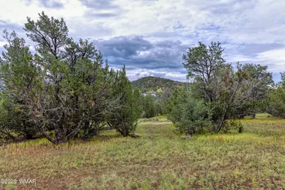 68 N3132, Vernon, AZ 85940 - Photo 8