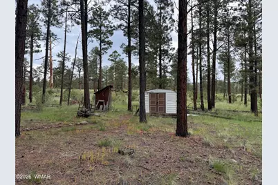 3 County Road N1040 Street, Eagar, AZ 85925 - Photo 24