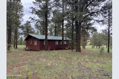 3 County Road N1040 Street, Eagar, AZ 85925 - Photo 4