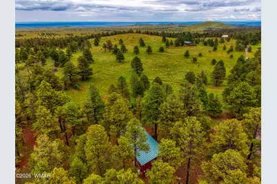 3 County Road N1040 Street, Eagar, AZ 85925 - Photo 2
