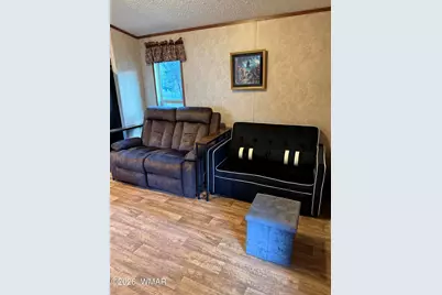 2854 Rainbow Trail, Overgaard, AZ 85933 - Photo 10