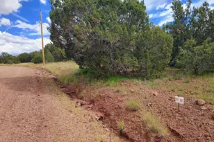 64 County Rd 8145 Lot 89, Vernon, AZ 85940 - Photo 1