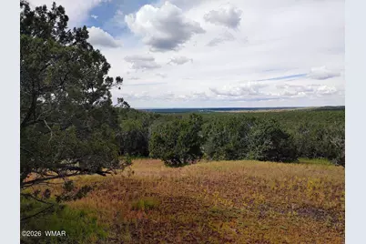 64 County Rd 8145 Lot 89, Vernon, AZ 85940 - Photo 4
