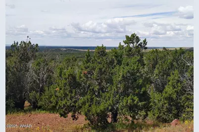 64 County Rd 8145 Lot 89, Vernon, AZ 85940 - Photo 2