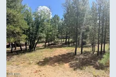 5155 Starlight Drive, Happy Jack, AZ 86024 - Photo 6