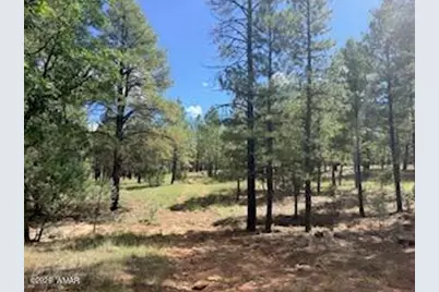 5155 Starlight Drive, Happy Jack, AZ 86024 - Photo 1