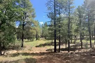 5155 Starlight Dr, Happy Jack, AZ 86024 - Photo 1