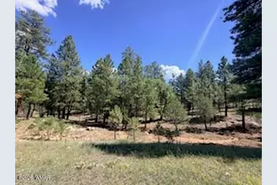 5155 Starlight Drive, Happy Jack, AZ 86024 - Photo 10