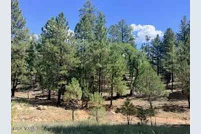 5155 Starlight Drive, Happy Jack, AZ 86024 - Photo 2