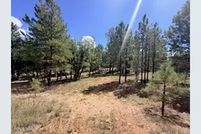 5155 Starlight Drive, Happy Jack, AZ 86024 - Photo 8
