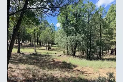 5163 Starlight Drive, Happy Jack, AZ 86024 - Photo 1
