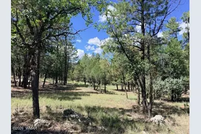 5163 Starlight Drive, Happy Jack, AZ 86024 - Photo 2