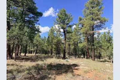 5163 Starlight Drive, Happy Jack, AZ 86024 - Photo 6