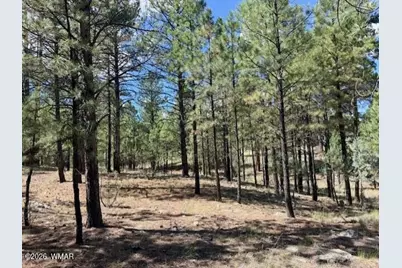 5177 Starlight Drive, Happy Jack, AZ 86024 - Photo 1