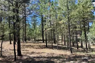 5177 Starlight Dr, Happy Jack, AZ 86024 - Photo 1