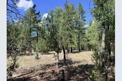 5177 Starlight Drive, Happy Jack, AZ 86024 - Photo 4
