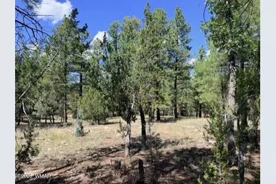 5177 Starlight Drive, Happy Jack, AZ 86024 - Photo 6