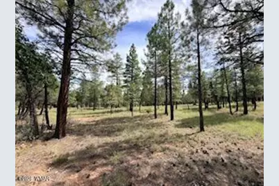 5206 Starlight Drive, Happy Jack, AZ 86024 - Photo 2