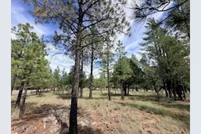 5206 Starlight Drive, Happy Jack, AZ 86024 - Photo 10