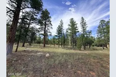 5206 Starlight Drive, Happy Jack, AZ 86024 - Photo 6