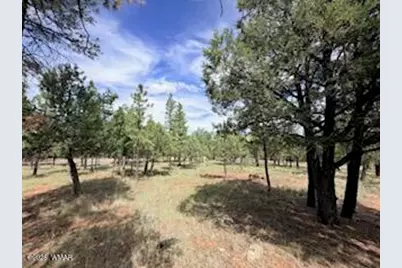 5206 Starlight Drive, Happy Jack, AZ 86024 - Photo 8